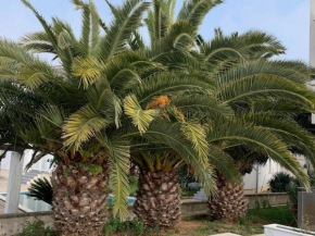 Apartment Mauricia